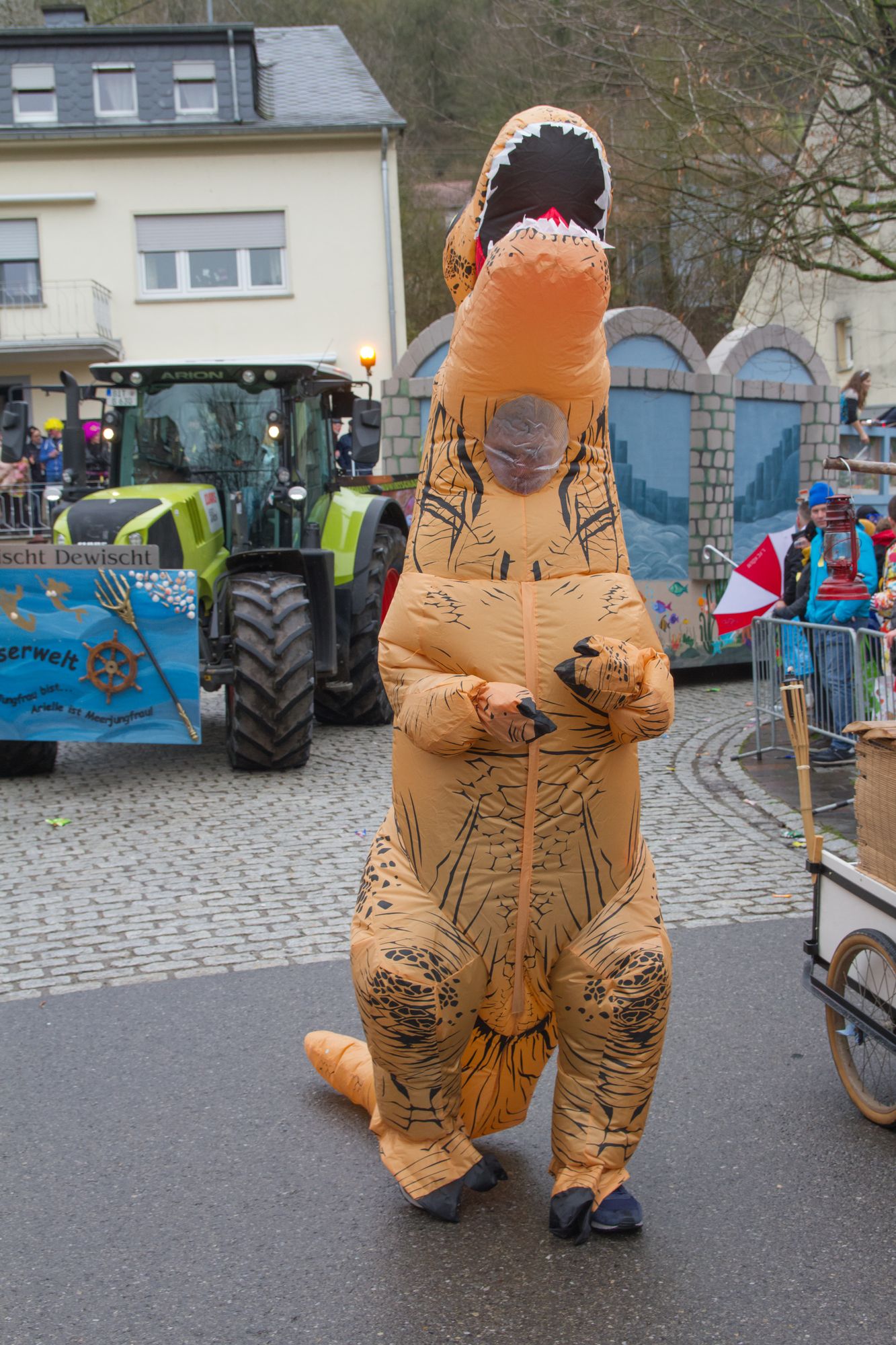 Rosenmontag 2020 277
