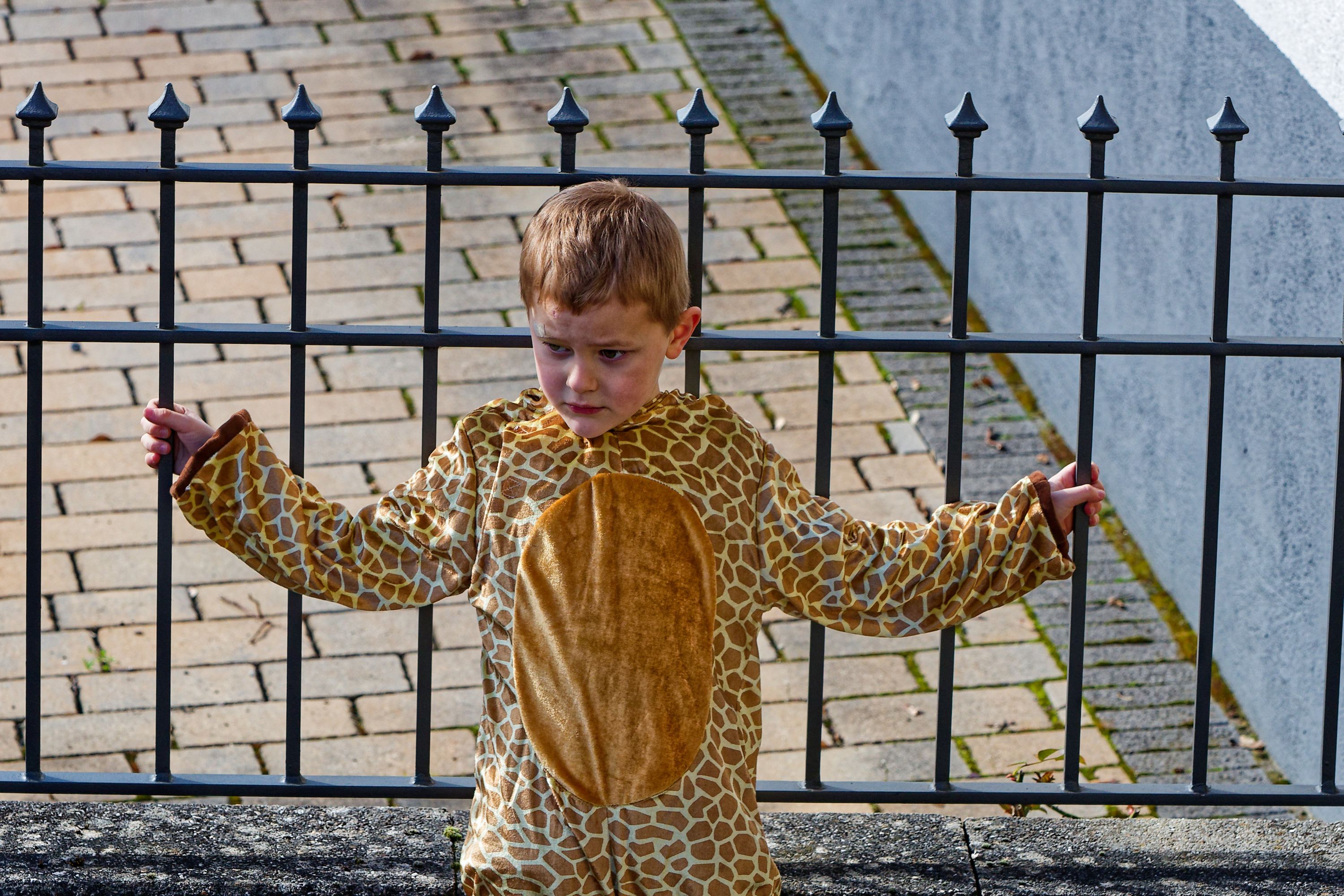 Umzug Bollendorf 2025 006