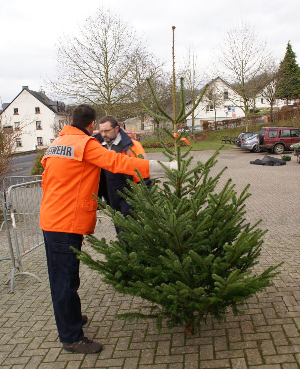 Weihnachtsbaum09
