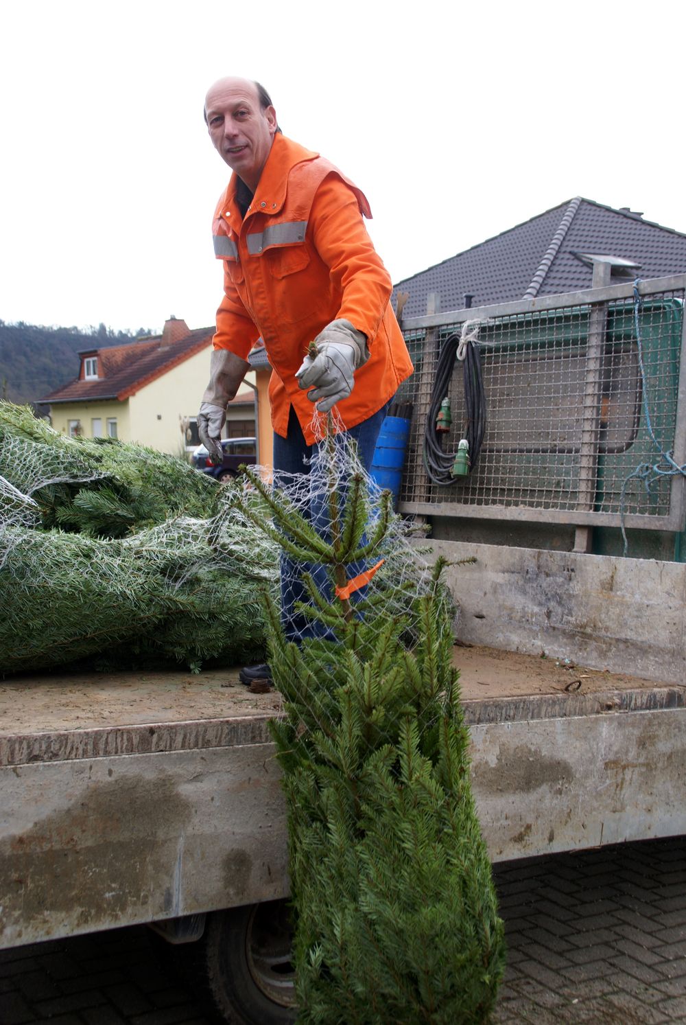 Weihnachtsbaum14