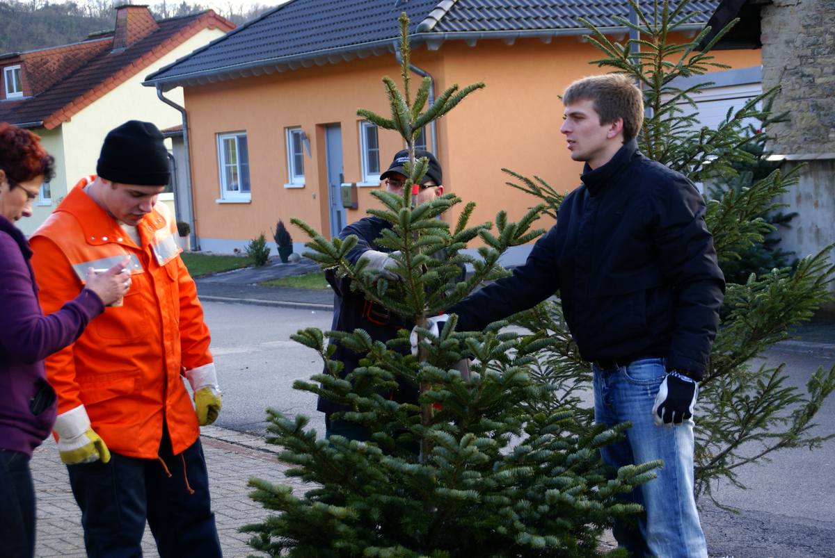 Weihnachtsbaum070
