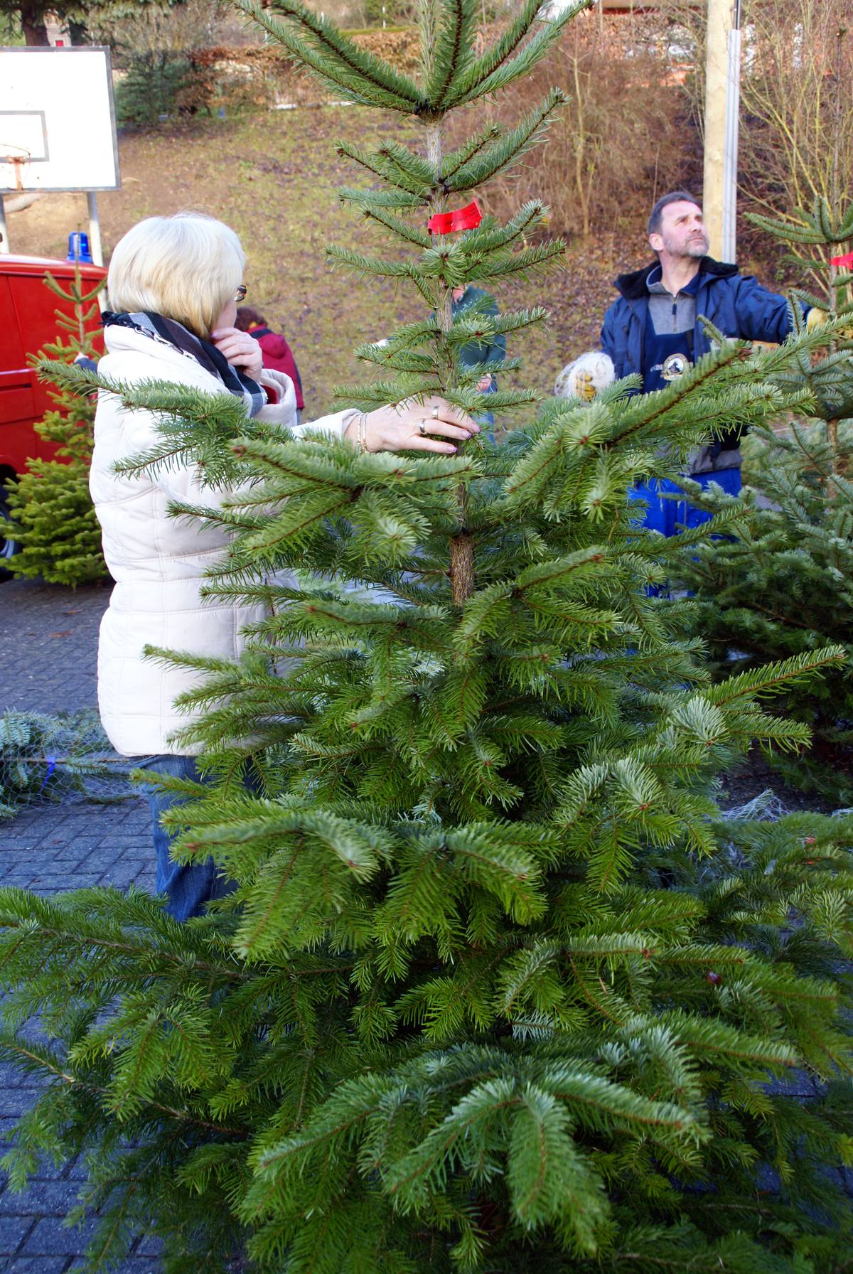 Weihnachtsbaum086