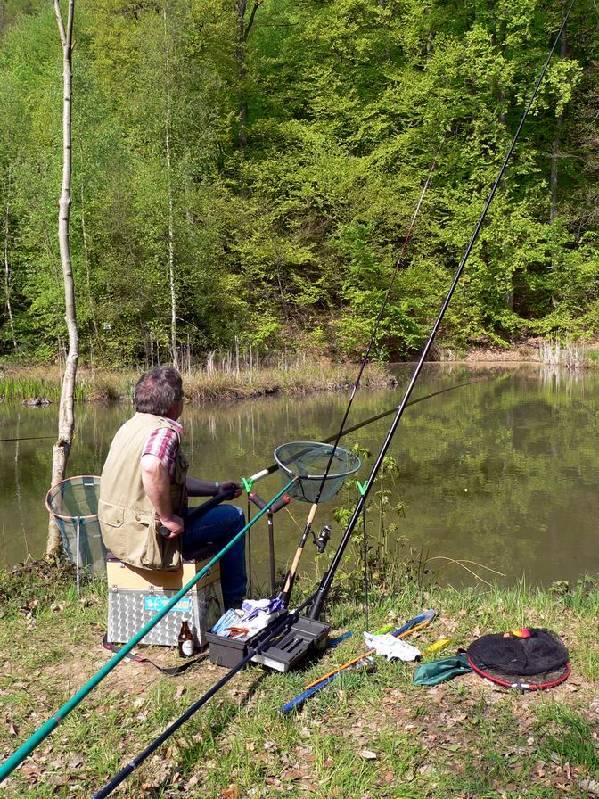 Graureiher Bild Nr.004