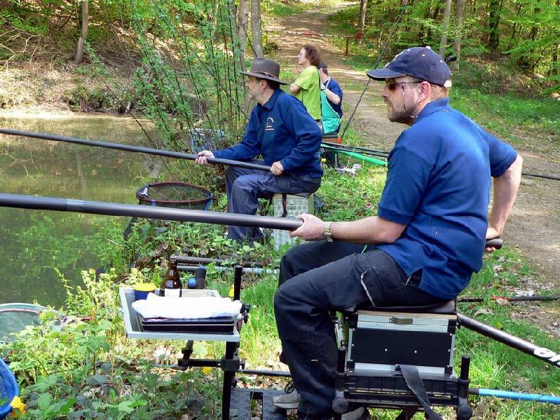 Graureiher Bild Nr.015