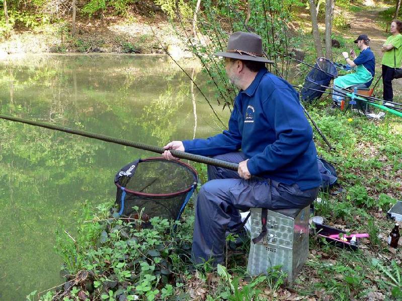 Graureiher Bild Nr.017