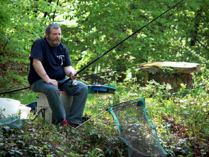 Graureiher Bild Nr.026