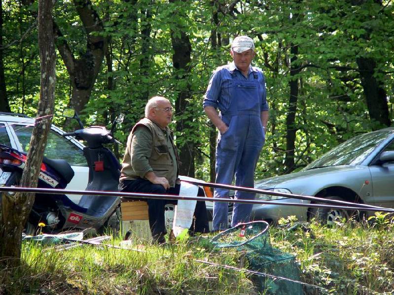 Graureiher Bild Nr.027