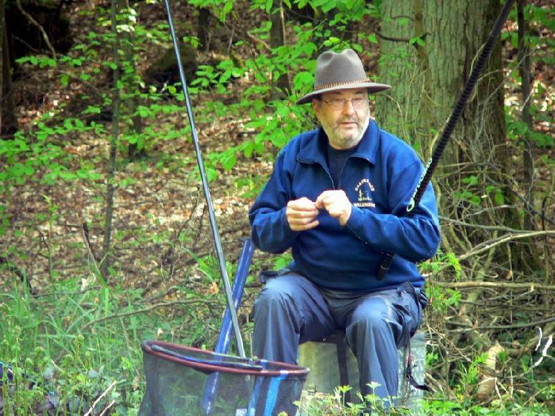 Graureiher Bild Nr.031