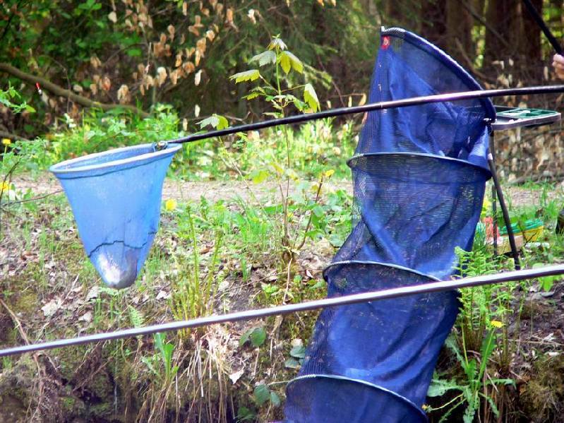 Graureiher Bild Nr.033