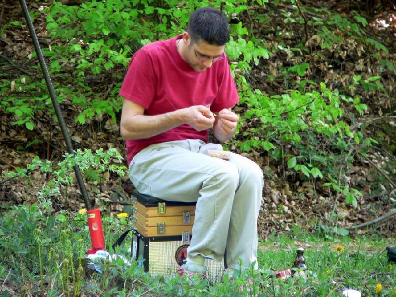 Graureiher Bild Nr.034