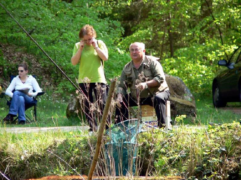 Graureiher Bild Nr.036