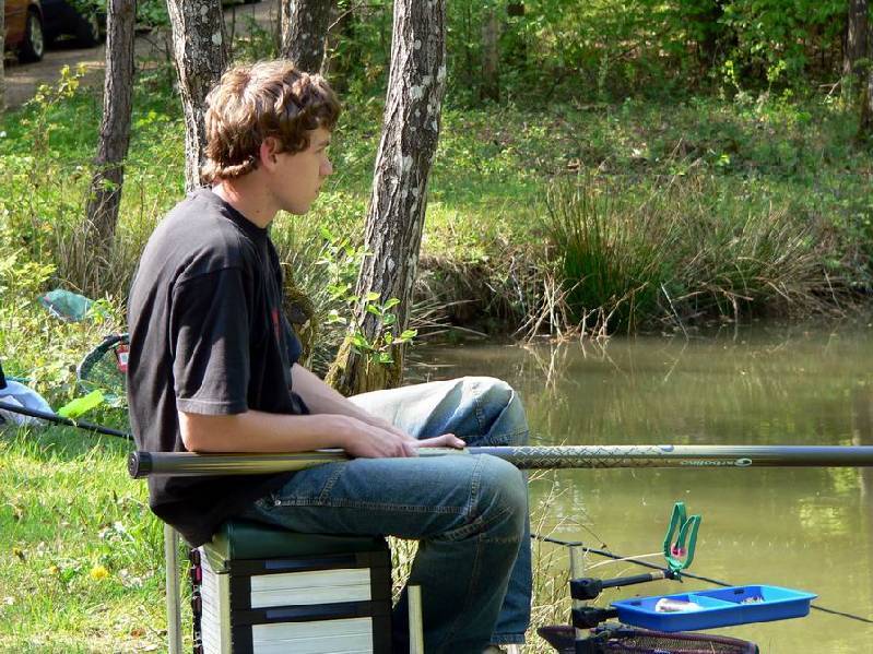 Graureiher Bild Nr.046