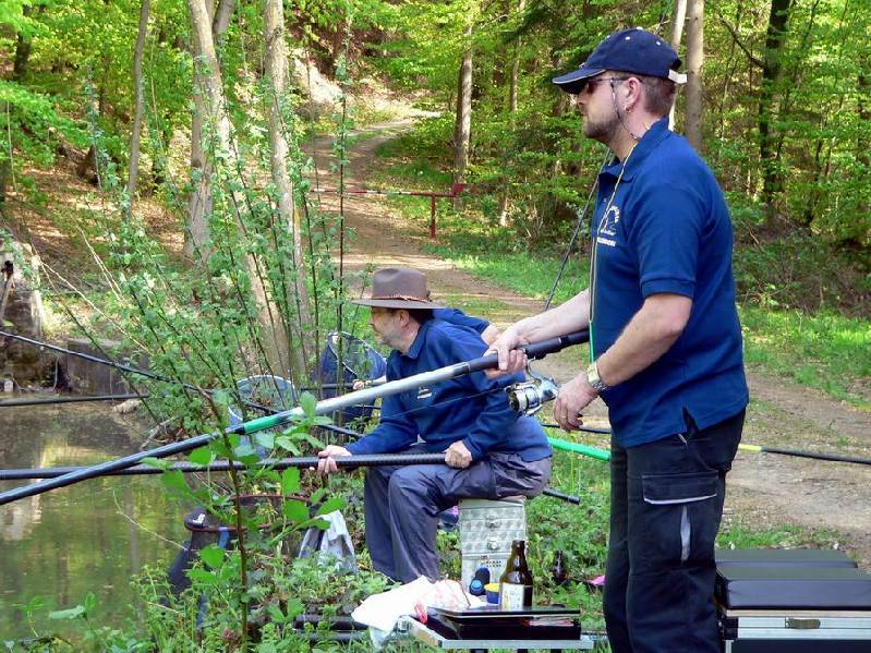 Graureiher Bild Nr.051