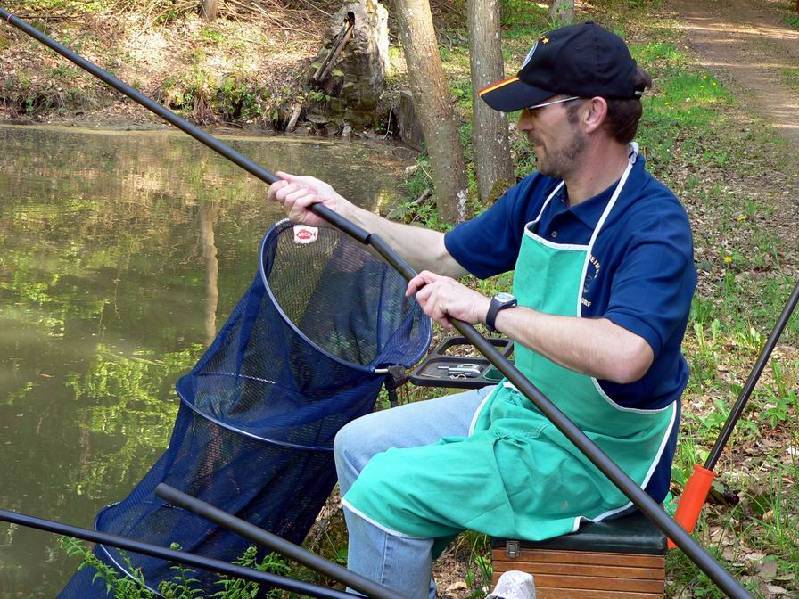 Graureiher Bild Nr.053