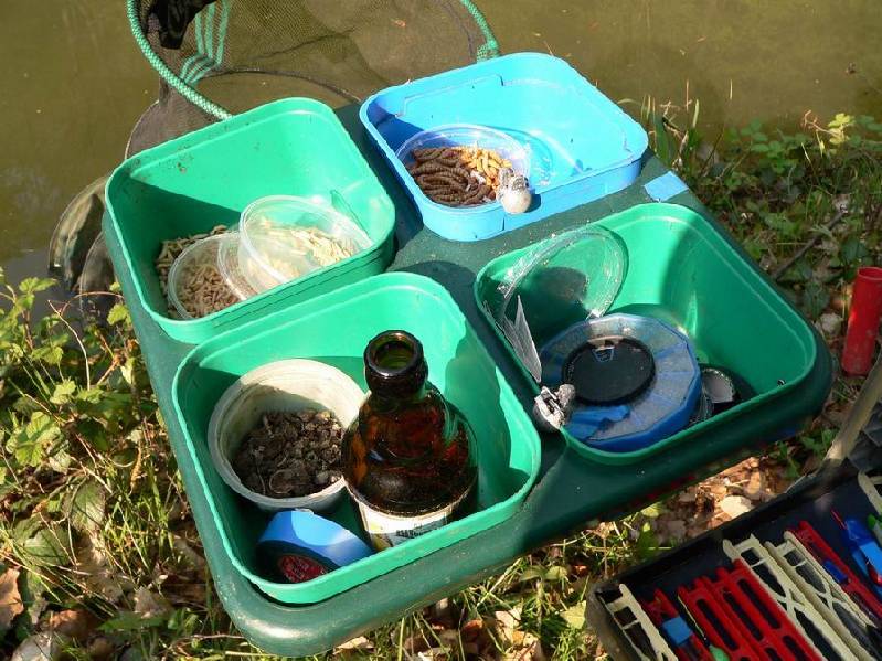 Graureiher Bild Nr.071