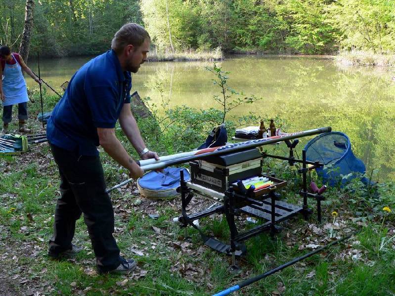 Graureiher Bild Nr.074