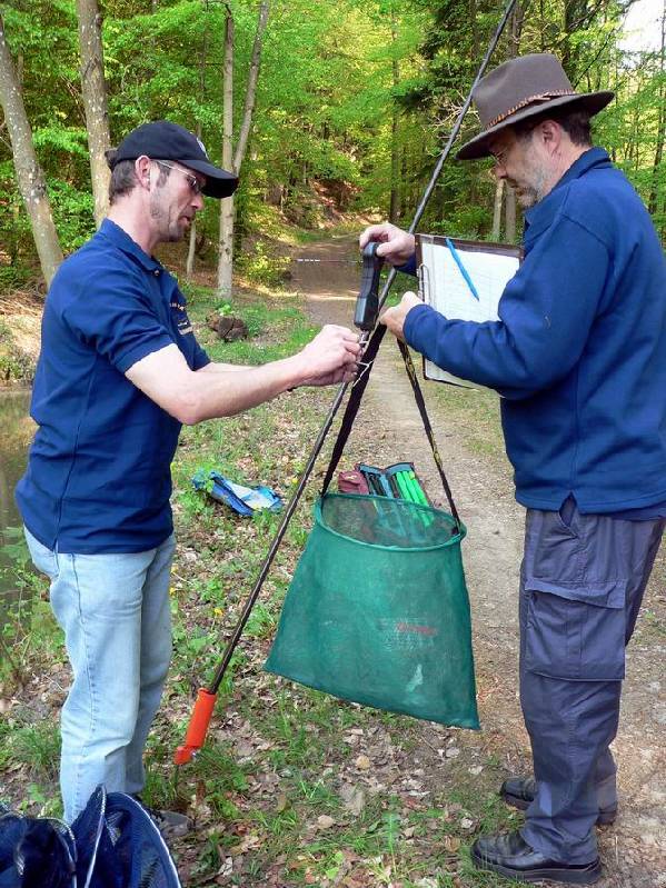 Graureiher Bild Nr.077