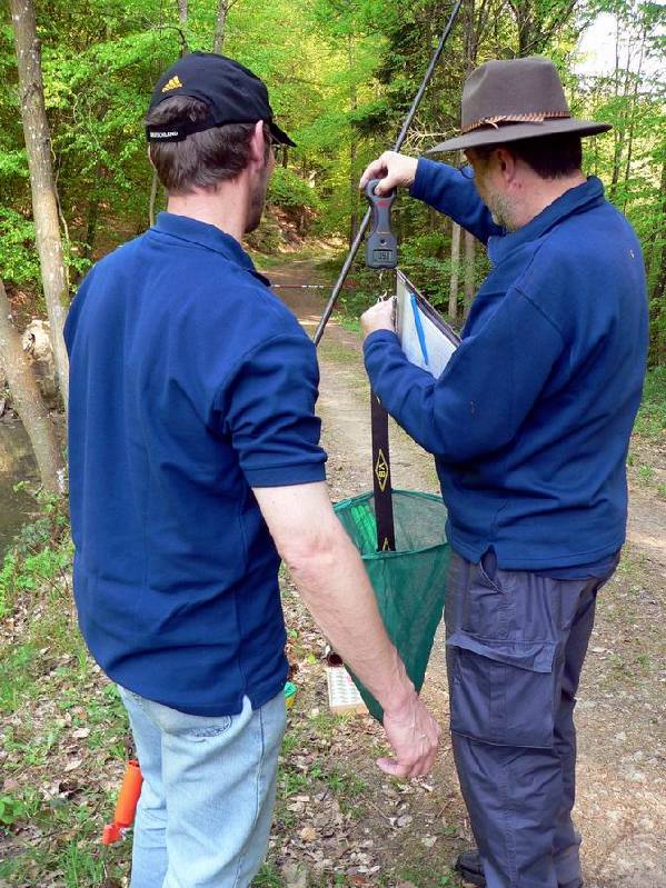 Graureiher Bild Nr.078