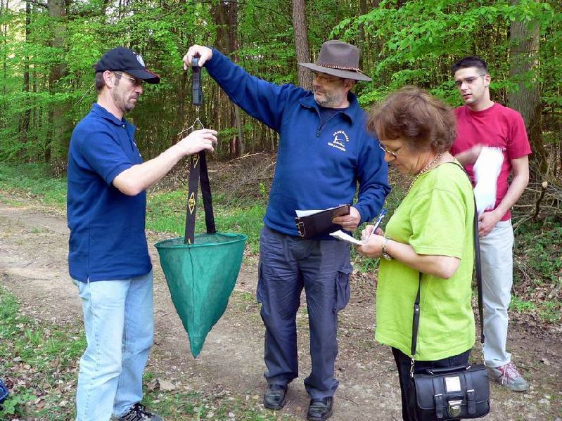 Graureiher Bild Nr.080