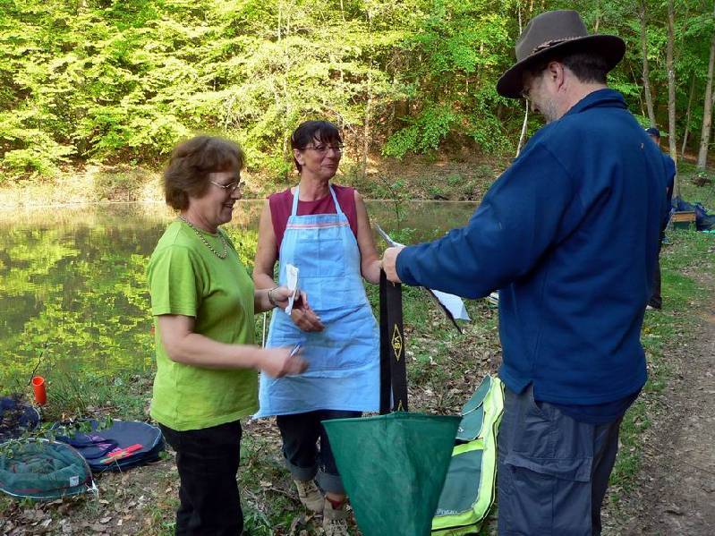 Graureiher Bild Nr.084