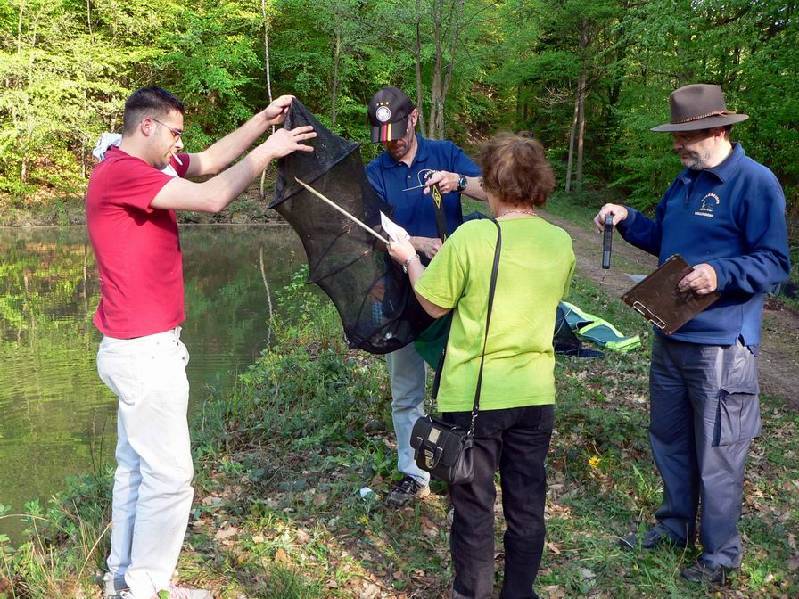 Graureiher Bild Nr.085