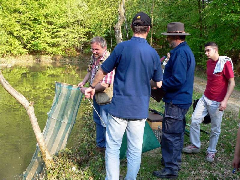 Graureiher Bild Nr.092