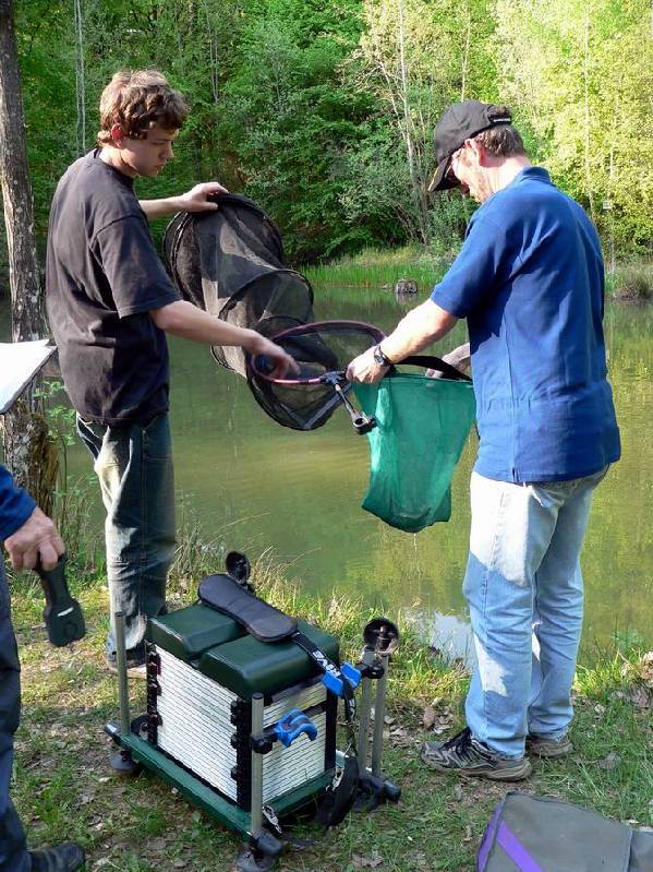 Graureiher Bild Nr.097