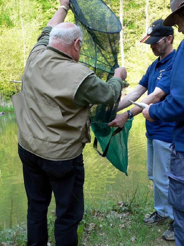 Graureiher Bild Nr.099