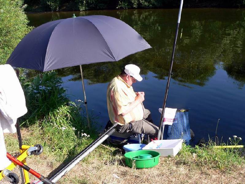 Graureiher Bild Nr.130