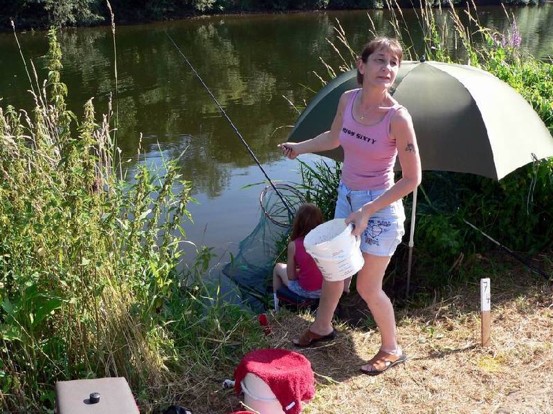 Graureiher Bild Nr.131