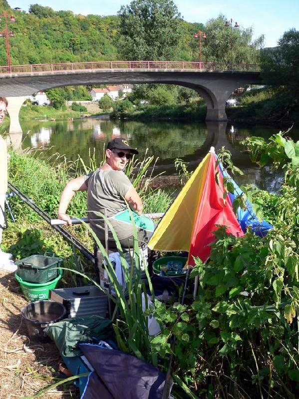 Graureiher Bild Nr.135