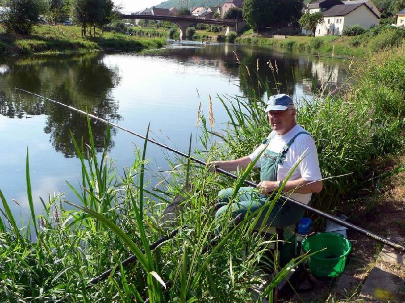 Graureiher Bild Nr.138