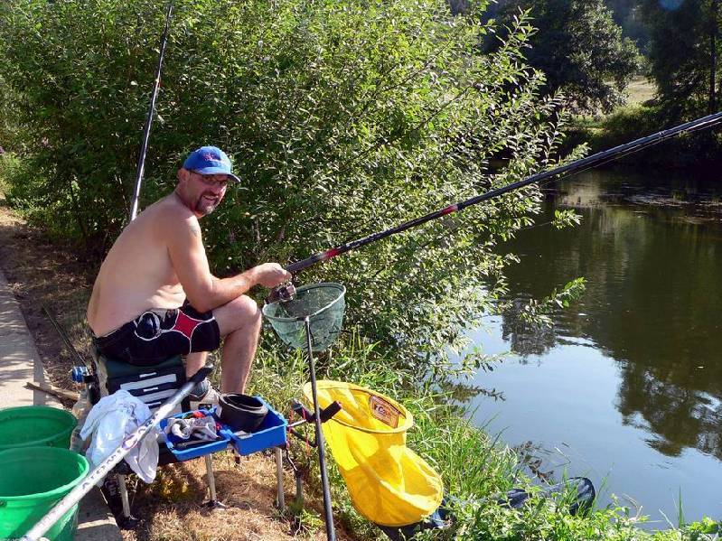 Graureiher Bild Nr.148