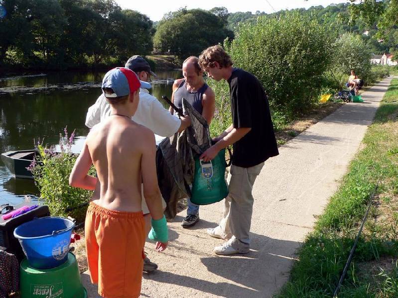 Graureiher Bild Nr.154