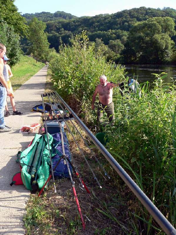 Graureiher Bild Nr.156