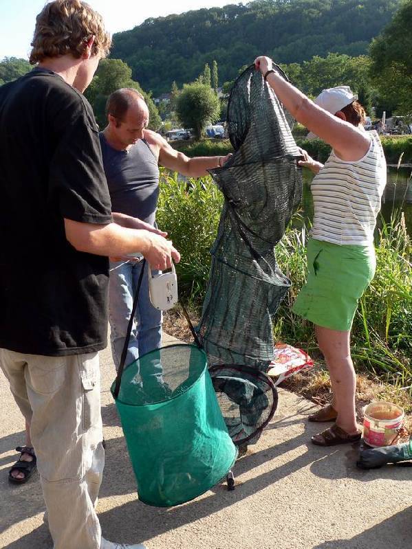 Graureiher Bild Nr.159