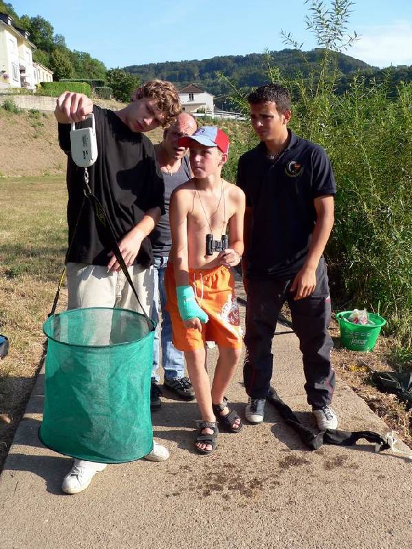 Graureiher Bild Nr.161