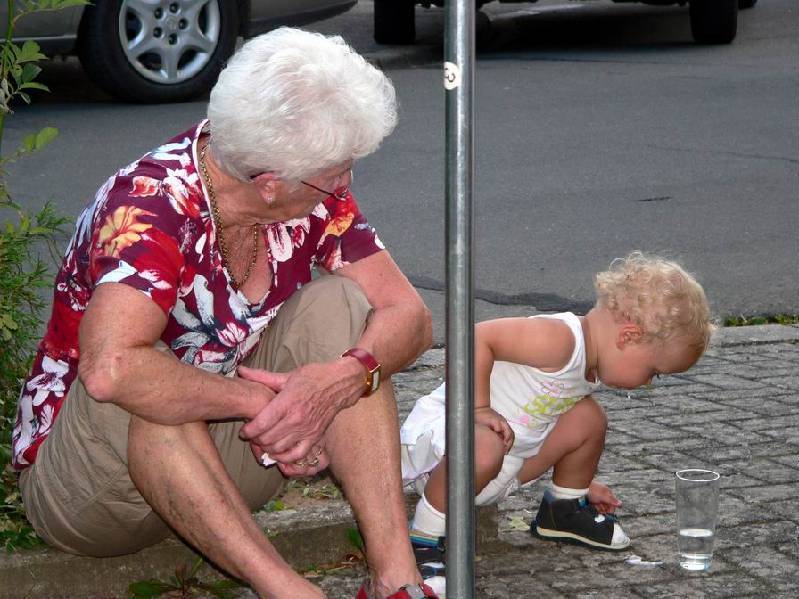 Graureiher Bild Nr.180