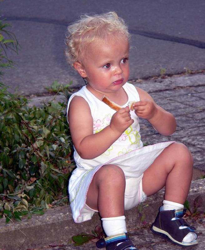 Graureiher Bild Nr.181